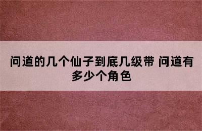 问道的几个仙子到底几级带 问道有多少个角色